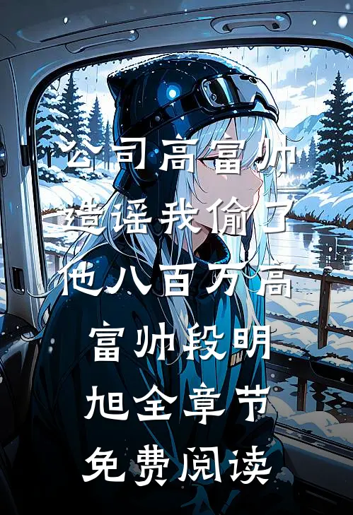 公司高富帅造谣我偷了他八百万高富帅段明旭全章节免费阅读