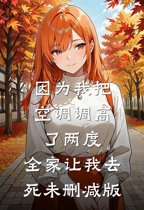 因为我把空调调高了两度，全家让我去死未删减版