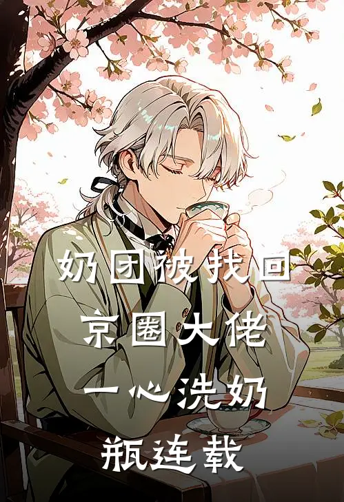 奶团被找回，京圈大佬一心洗奶瓶连载