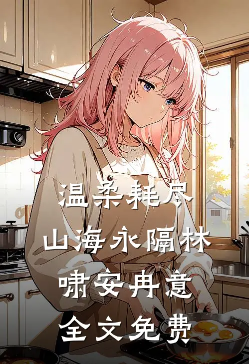 温柔耗尽，山海永隔林啸安冉意全文免费