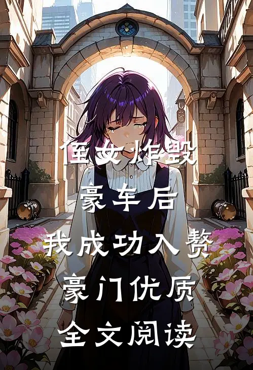 侄女炸毁豪车后，我成功入赘豪门优质全文阅读