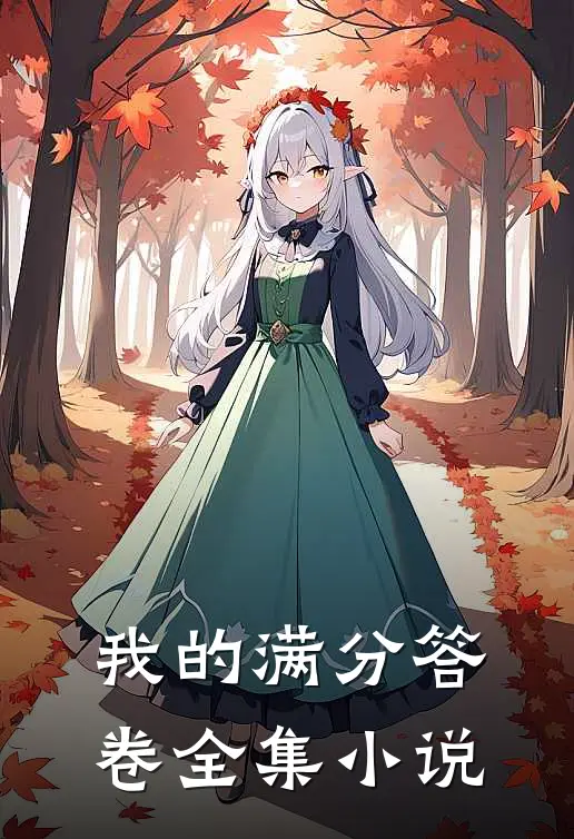 我的满分答卷全集小说
