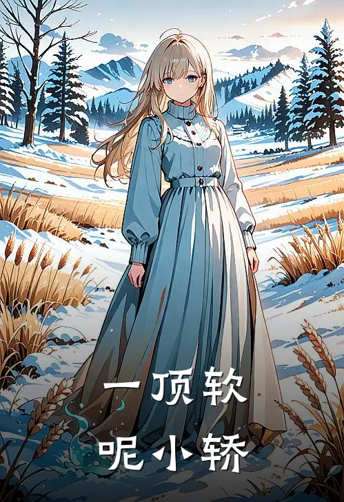 一顶软呢小轿