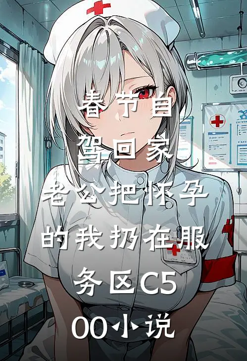 春节自驾回家，老公把怀孕的我扔在服务区C500小说
