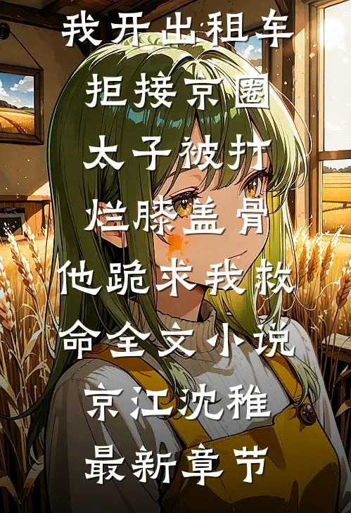 我开出租车拒接京圈太子被打烂膝盖骨，他跪求我救命全文小说京江沈稚最新章节