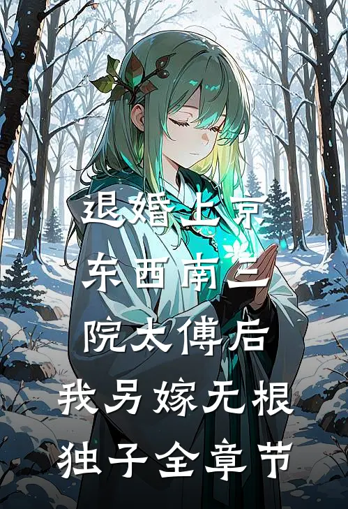 退婚上京东西南三院太傅后，我另嫁无根独子全章节