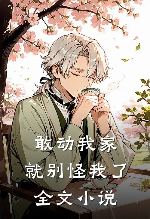 敢动我家，就别怪我了全文小说