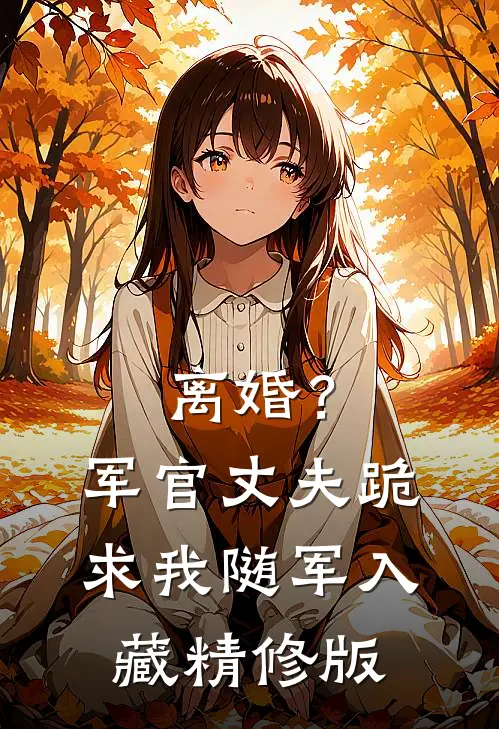 离婚？军官丈夫跪求我随军入藏精修版