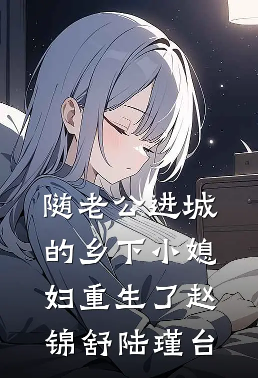 随老公进城的乡下小媳妇重生了赵锦舒陆瑾台
