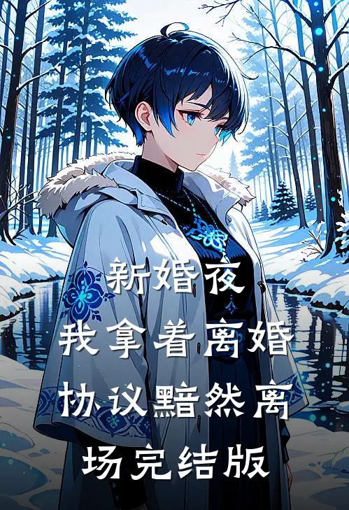 新婚夜，我拿着离婚协议黯然离场完结版