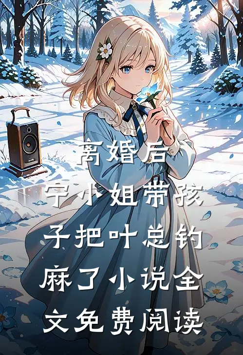 离婚后，宁小姐带孩子把叶总钓麻了小说全文免费阅读
