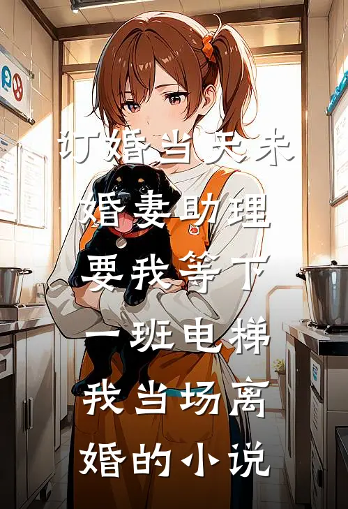 订婚当天未婚妻助理要我等下一班电梯，我当场离婚的小说