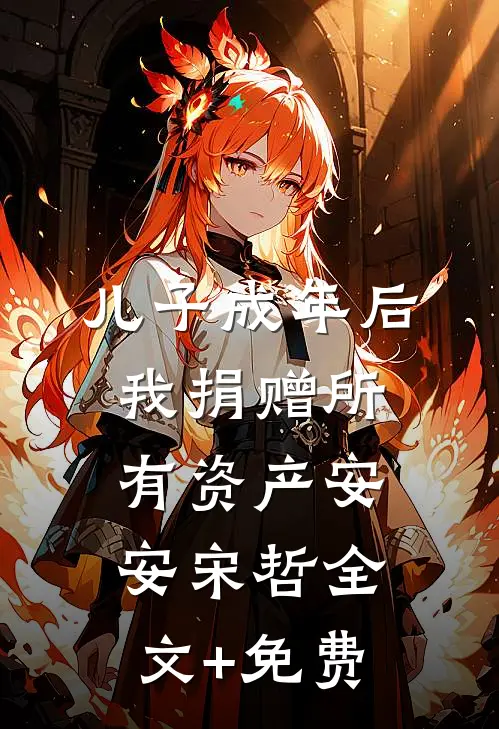 儿子成年后，我捐赠所有资产安安宋哲全文+免费