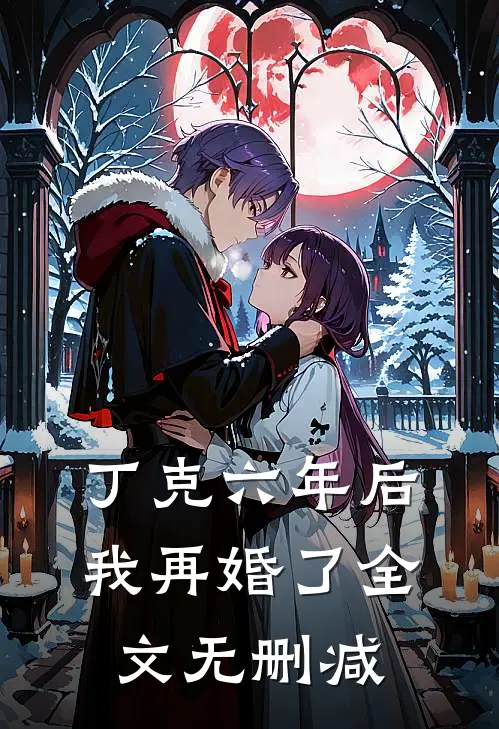 丁克六年后，我再婚了全文无删减