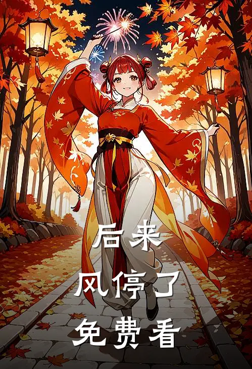 后来，风停了免费看
