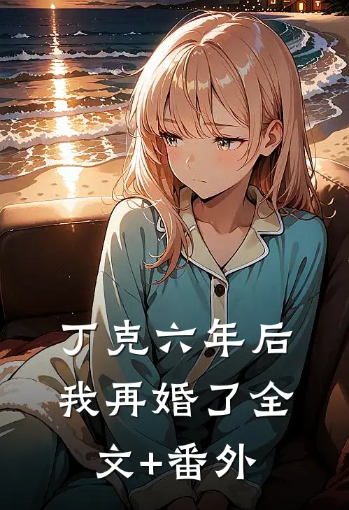 丁克六年后，我再婚了全文+番外
