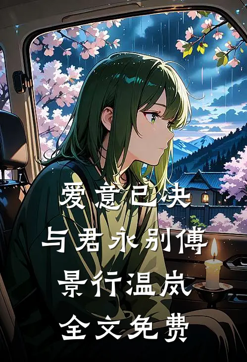 爱意已决，与君永别傅景行温岚全文免费