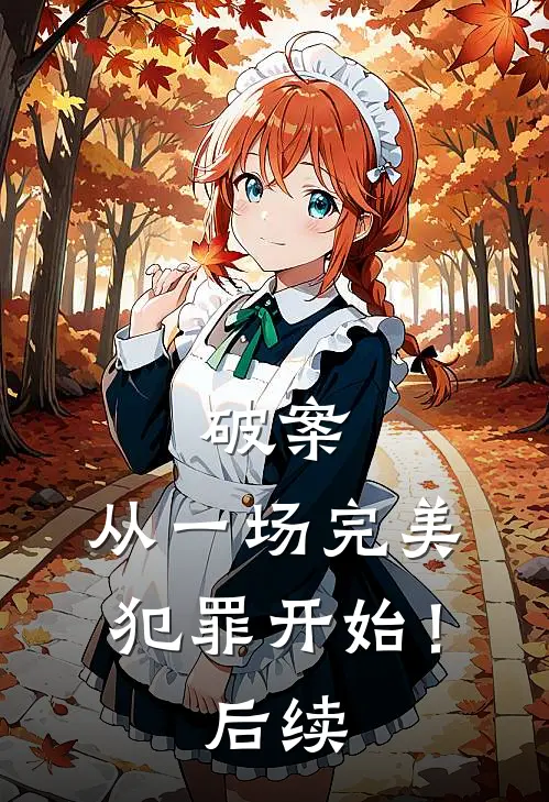 破案：从一场完美犯罪开始！后续