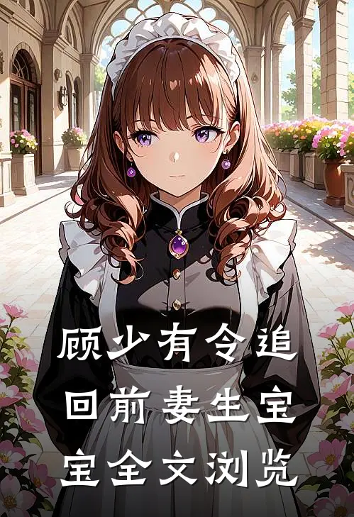 顾少有令追回前妻生宝宝全文浏览