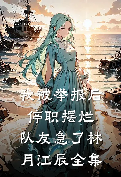 我被举报后停职摆烂，队友急了林月江辰全集
