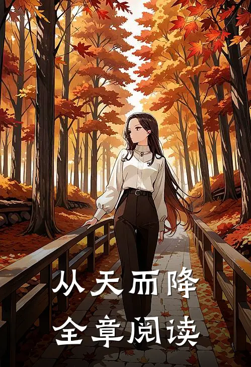 从天而降全章阅读