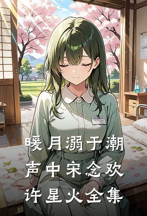 暖月溺于潮声中宋念欢许星火全集