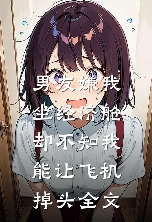 男友嫌我坐经济舱，却不知我能让飞机掉头全文