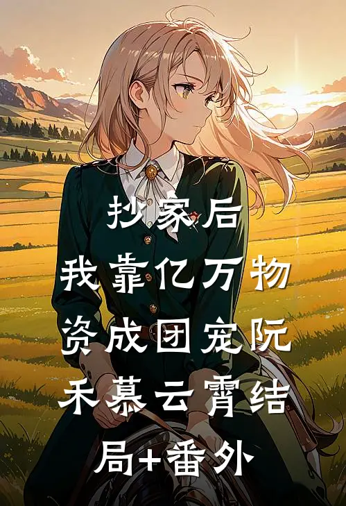 抄家后，我靠亿万物资成团宠阮禾慕云霄结局+番外