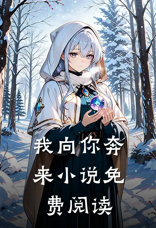 我向你奔来小说免费阅读