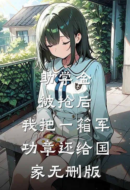 助学金被抢后，我把一箱军功章还给国家无删版