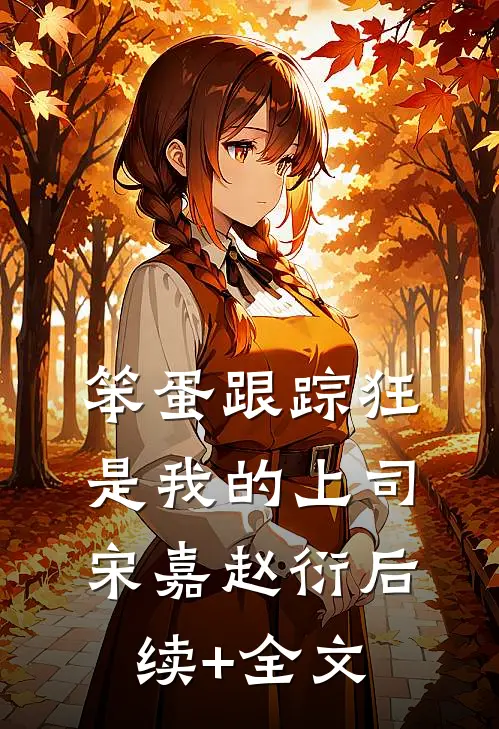 笨蛋跟踪狂是我的上司宋嘉赵衍后续+全文