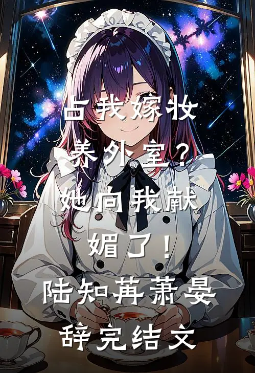 占我嫁妆养外室？她向我献媚了！陆知苒萧晏辞完结文