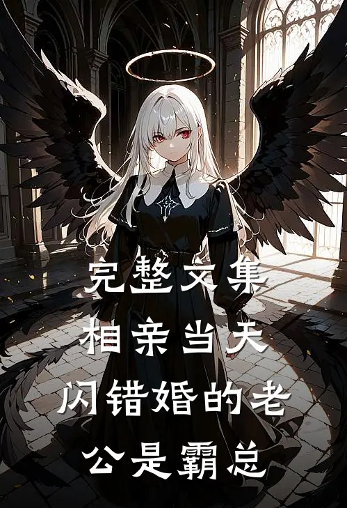 完整文集相亲当天，闪错婚的老公是霸总
