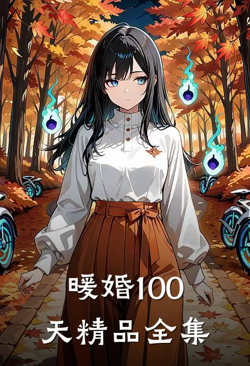 暖婚100天精品全集