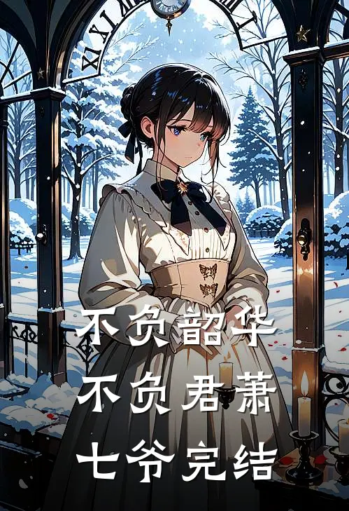 不负韶华不负君萧七爷完结