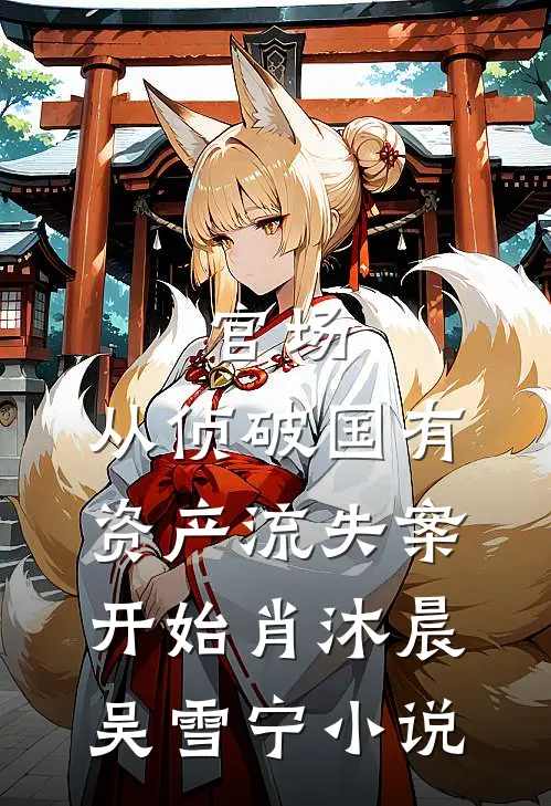 官场：从侦破国有资产流失案开始肖沐晨吴雪宁小说