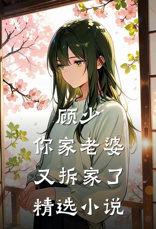 顾少，你家老婆又拆家了精选小说