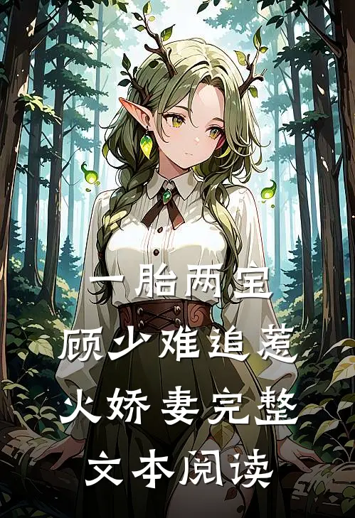 一胎两宝：顾少难追惹火娇妻完整文本阅读