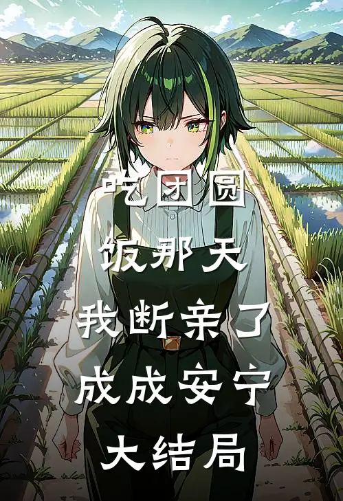 吃团圆饭那天，我断亲了成成安宁大结局