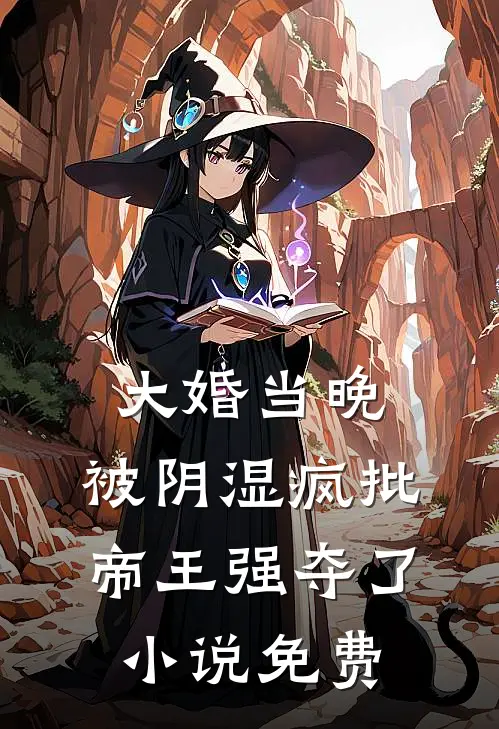 大婚当晚，被阴湿疯批帝王强夺了小说免费
