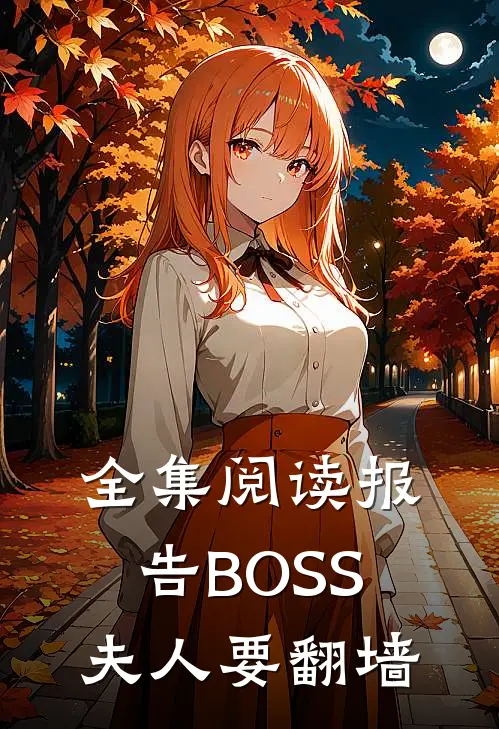 全集阅读报告BOSS：夫人要翻墙