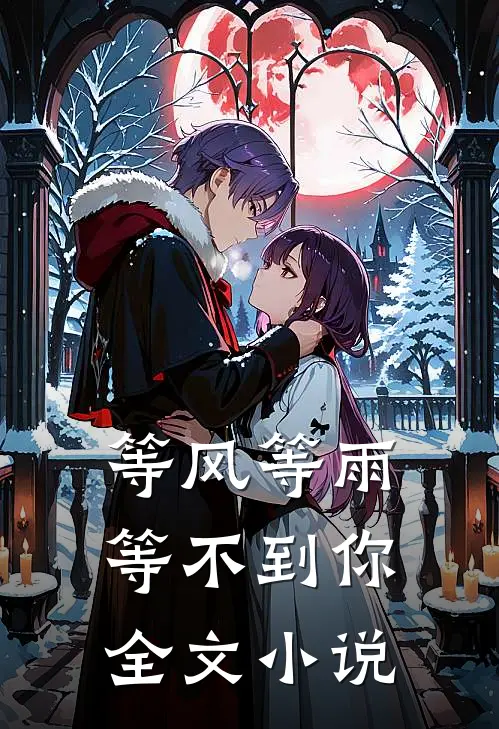 等风等雨等不到你全文小说