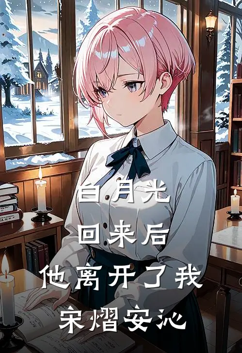 白月光回来后，他离开了我宋熠安沁