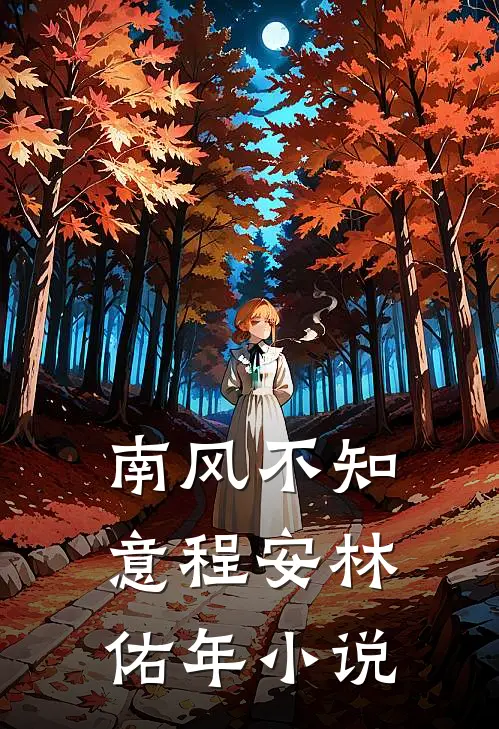 南风不知意程安林佑年小说