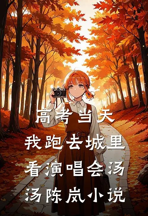 高考当天，我跑去城里看演唱会汤汤陈岚小说