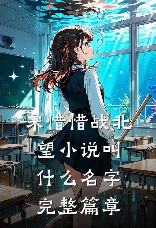 宋惜惜战北望小说叫什么名字完整篇章
