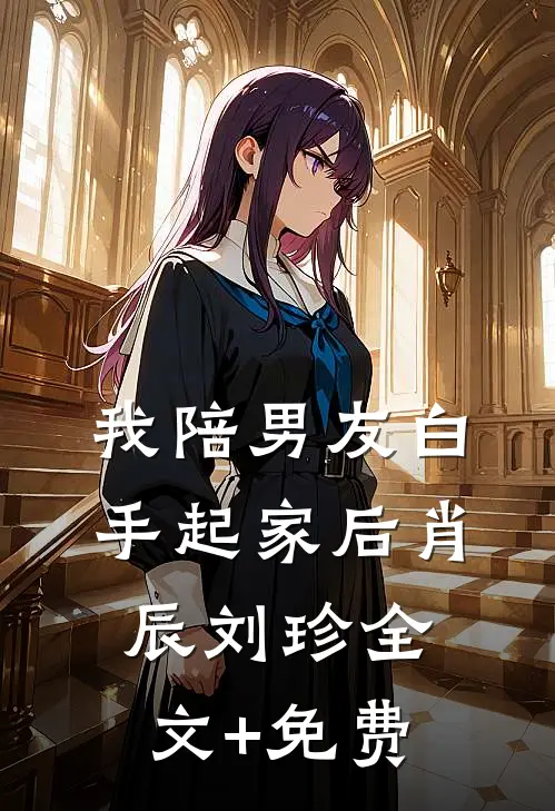 我陪男友白手起家后肖辰刘珍全文+免费