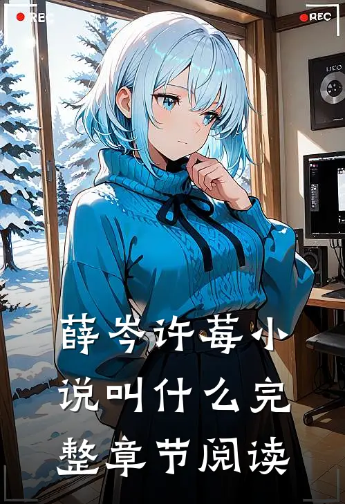 薛岑许莓小说叫什么完整章节阅读