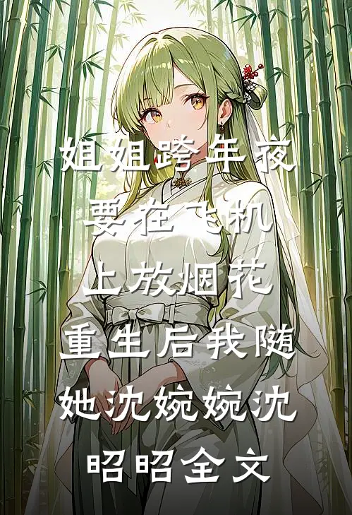 姐姐跨年夜要在飞机上放烟花，重生后我随她沈婉婉沈昭昭全文