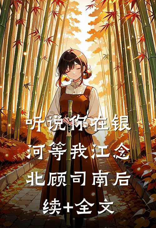 听说你在银河等我江念北顾司南后续+全文
